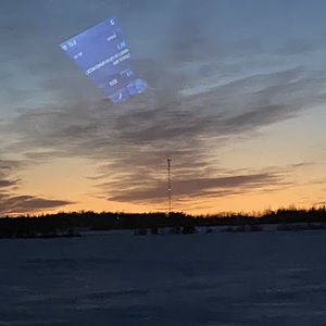 Meet your Posher, Bella